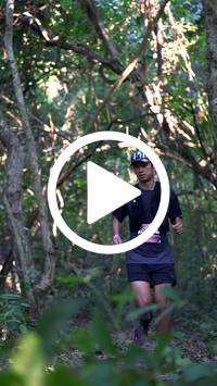 BIB:  <button type="button" onclick="openModal(28056257)" class="btn btn-primary btn-sm float-right" data-toggle="modal" data-target=".modal-high-quality">
                <i class="fa fa-download"></i> Download
                </button>